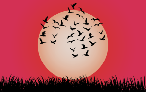 Illustration of flock of birds silhouetted against the sun